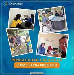 Pencacahan Survei Harga Produsen