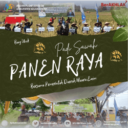 Panen Raya Padi Sawah