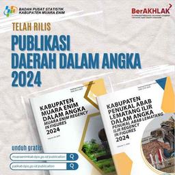 [Rilis Publikasi Daerah Dalam Angka 2024]